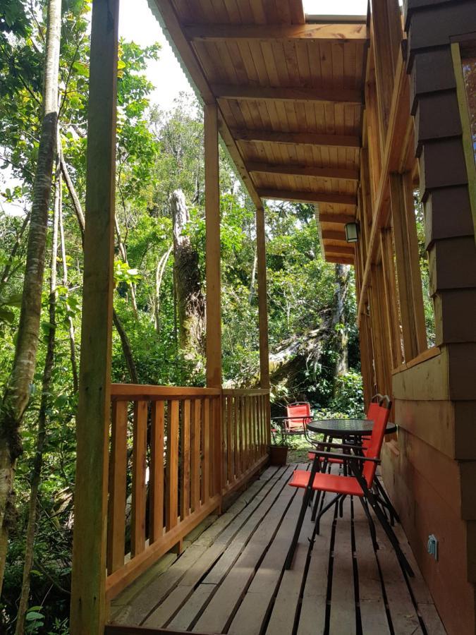 Finca Terra Viva Monteverde Bagian luar foto