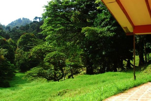 Finca Terra Viva Monteverde Bagian luar foto